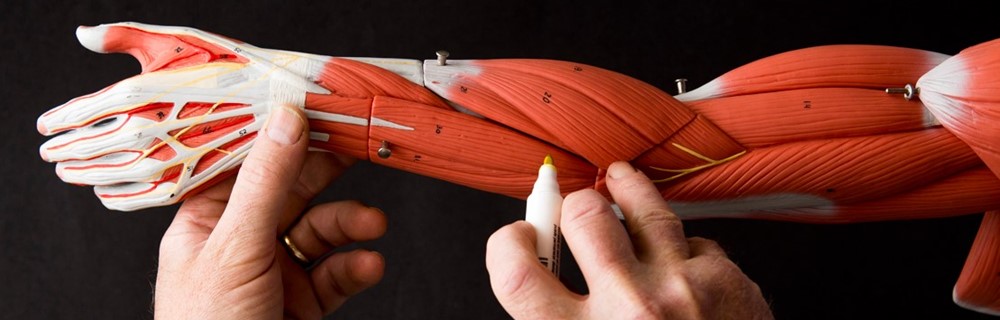 Science and Mathematics