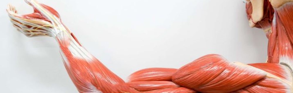 Leisure, Travel and Tourism