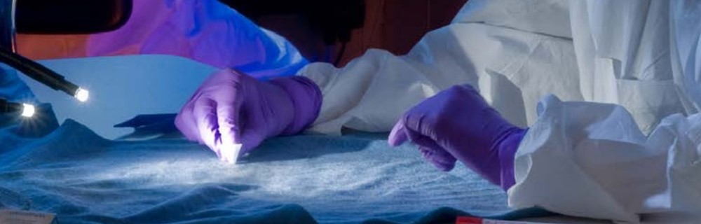 Business, Administration and Law