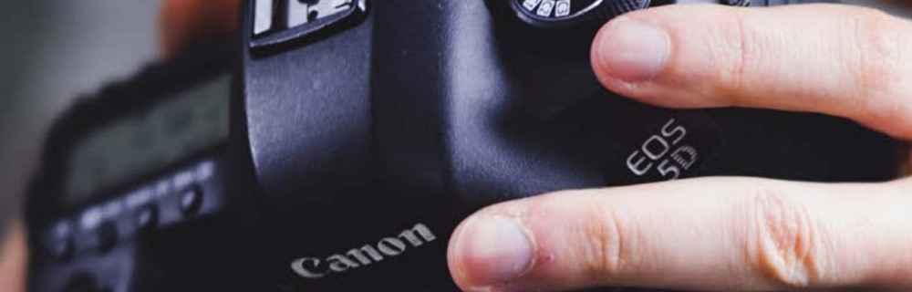 Arts, Media and Publishing